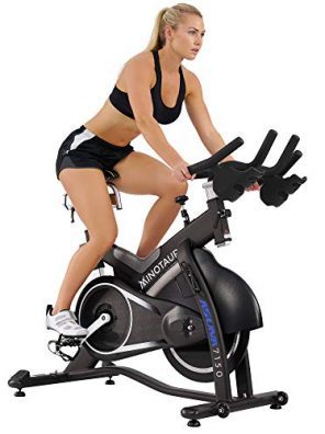 Sunny Health, Fitness ASUNA Minotaur Exercise Bike