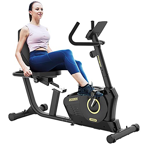 Exercise Bikes Stationary with Monitor for Seniors