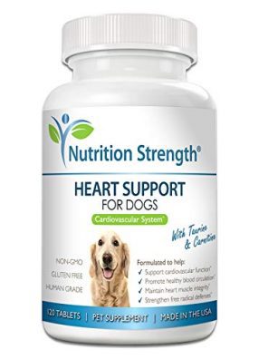 Nutrition Strength Heart Support for Dogs