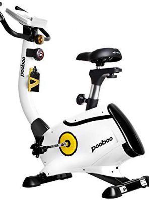Ultra-Quiet Indoor Stationary Bike with LCD Display