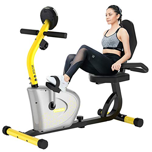 pooboo Magnetic Recumbent Exercise Bike for Adults Seniors