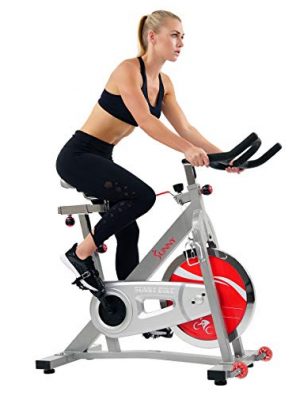 Fitness Indoor Cycle Exercise Bike  with Belt Drive
