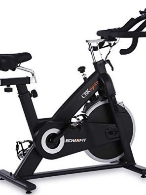 ECHANFIT Magnetic Bike Stationary Exercise Indoor