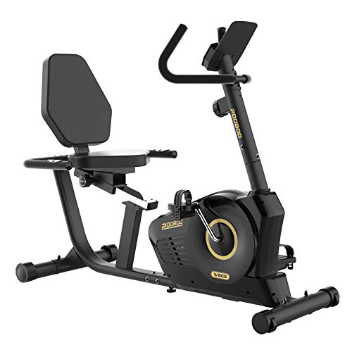 Magnetic Cycling Bike Stationary Indoor Exercise Bike