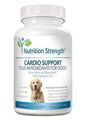 Nutrition Strength Cardio Support for Dogs Plus Antioxidant
