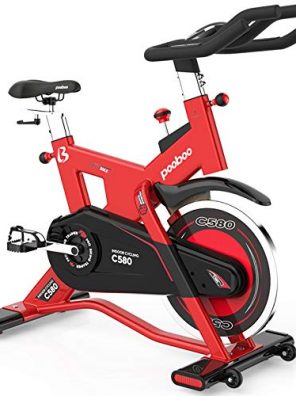 L NOW Indoor Cycling Bike Exercise with 40lb Flywheel