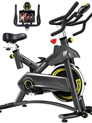 Cyclace Exercise Bike Stationary 330 Lbs Weight Capacity