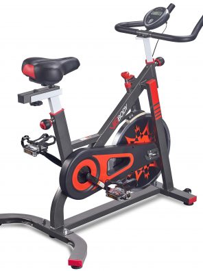 VIGBODY Exercise Bike Indoor Cardio Workout